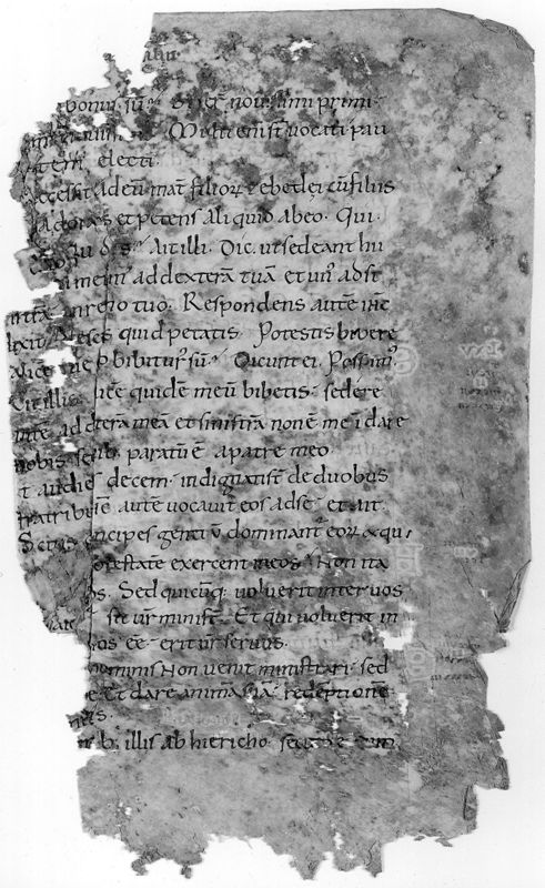 Liber Evangeliorum