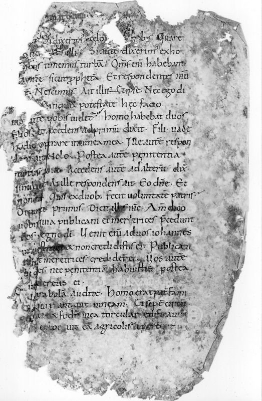 Liber Evangeliorum