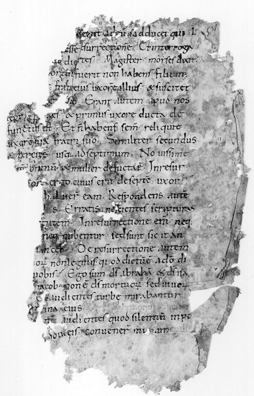 Liber Evangeliorum