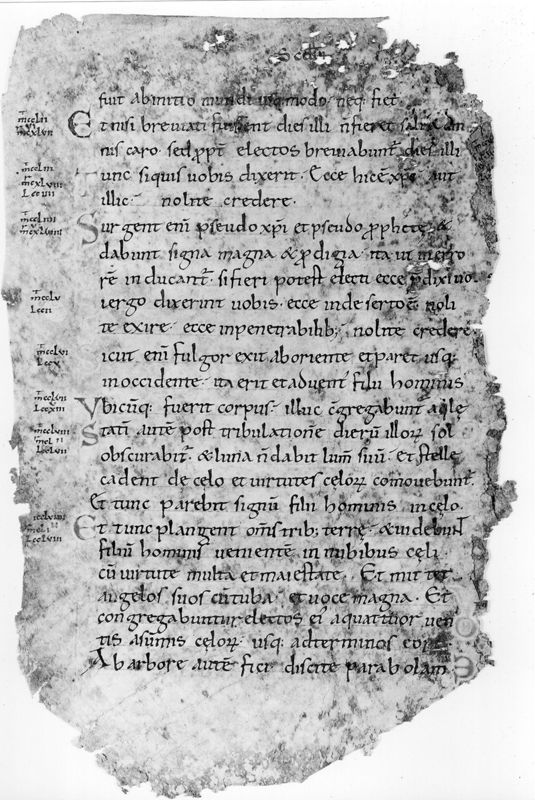 Liber Evangeliorum