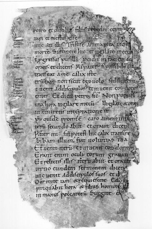 Liber Evangeliorum