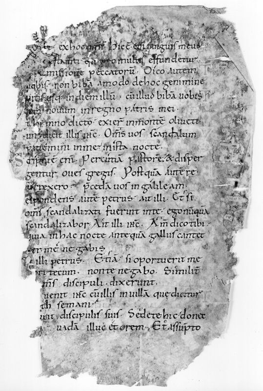 Liber Evangeliorum