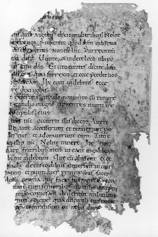Liber Evangeliorum