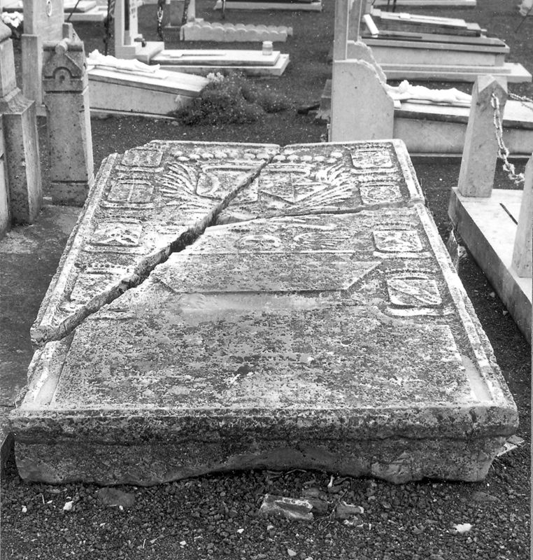 van de Borchgrave d'Altena  familie