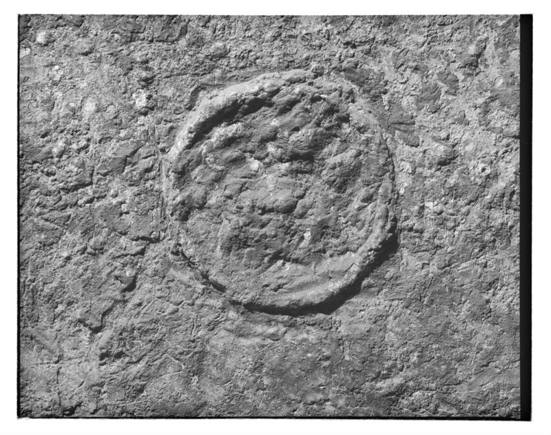 sarcophage de la nécropole romaine de la rue Perdue