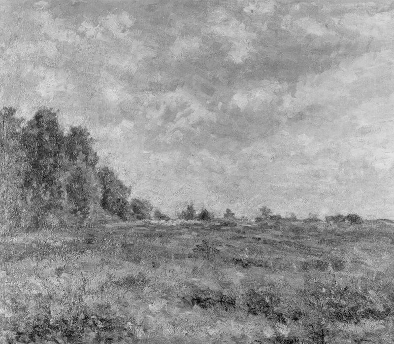 Landschap