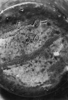 M228867