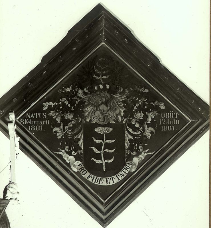 van Vergauwen