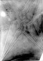 M264631