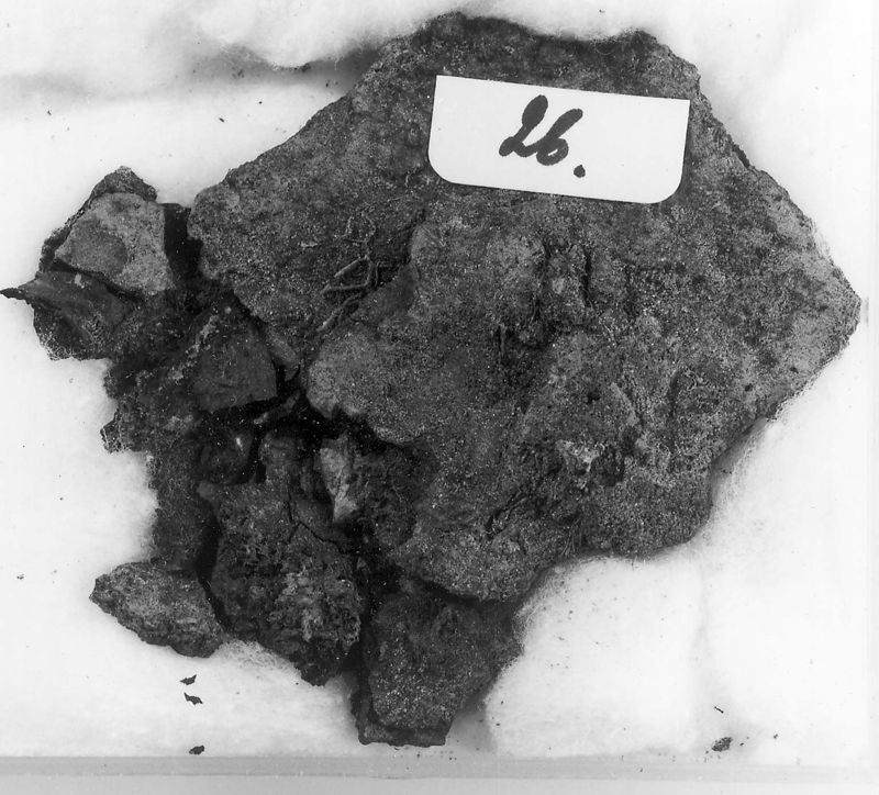 boucle[fermail] / Archeologisch Museum van Zuid-Oost Vlaanderen