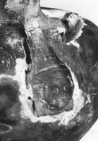 M275969