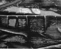 N000545