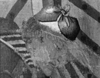 N000546