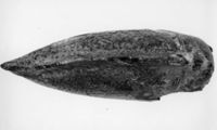 N001545