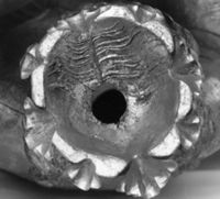 N001965