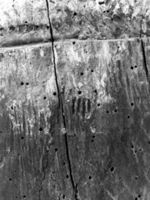 N003084