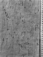 N004260