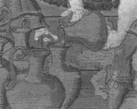 N004636