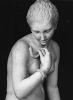N005006