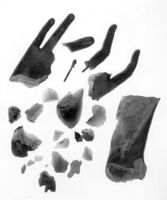 N006072