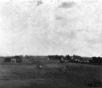 N006224