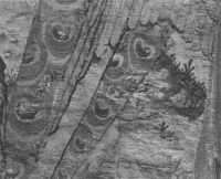 N006274