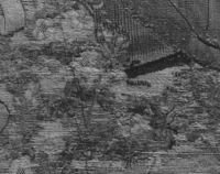 N006275
