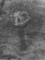 N006884