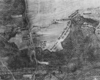 N007992