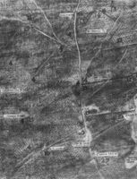 N007994