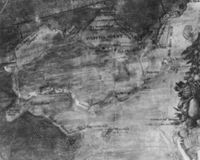N007996