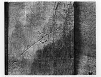 N008018