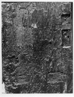 N008019