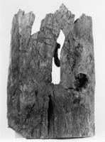 N008036