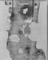 N008096