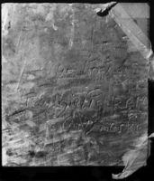 N008232