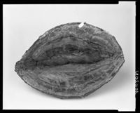 N010020