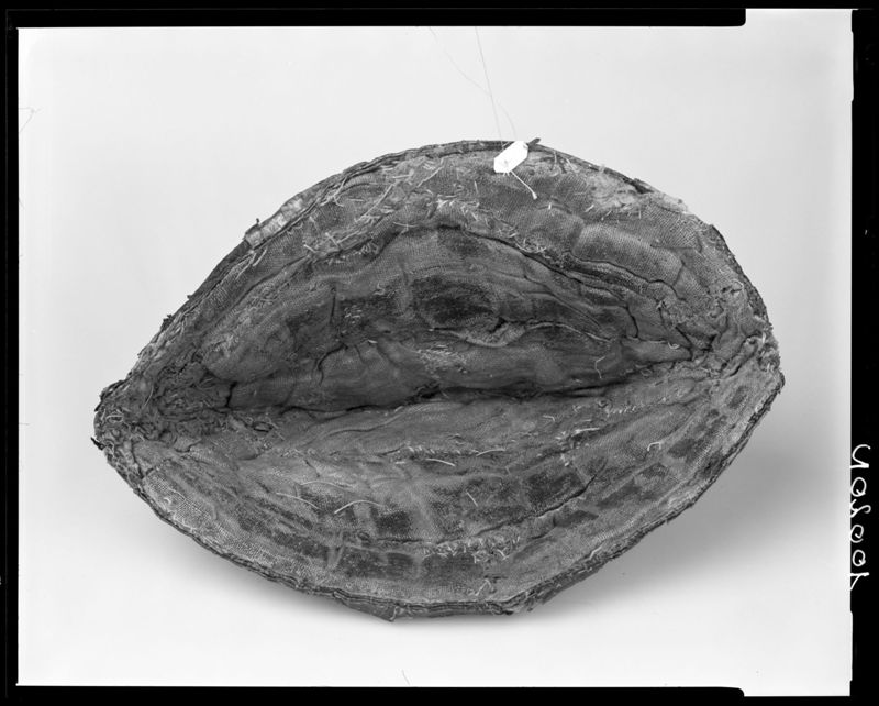 Bonnet de saint Pierre