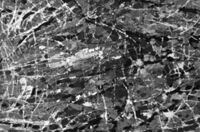 N010314