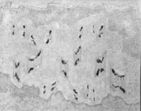 N012927