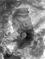 N015420
