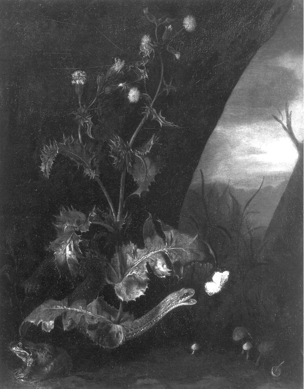 Distel en slang