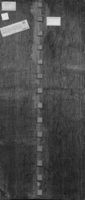 N018770