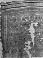N019198