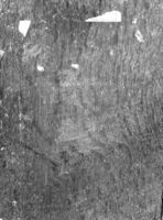 N019765