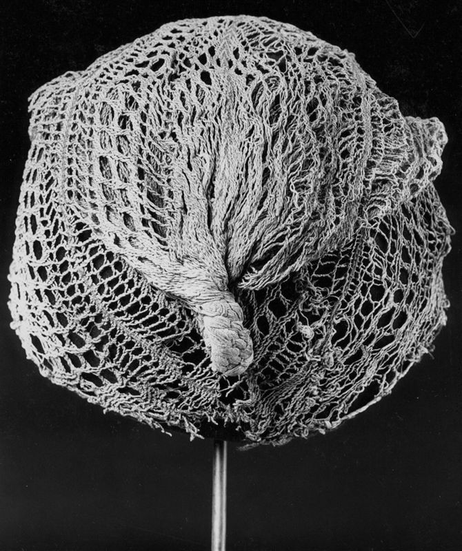 bonnet[couvre-chef] / Musées Royaux d'Art et d'Histoire