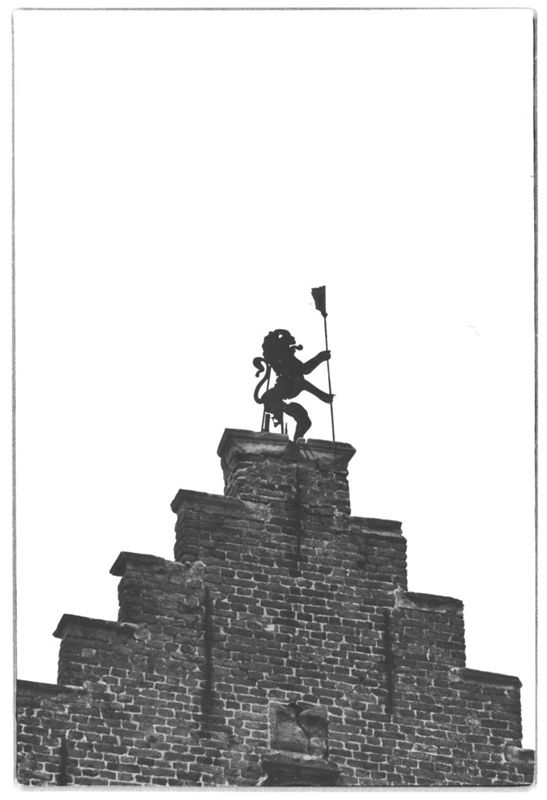 statue animale / Huis, Veurne, Grote Markt 9