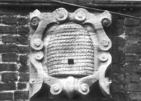 T003606