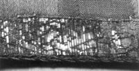 T040521