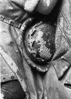 T077060